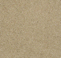 Ковролин Shaw Design Texture Platinum 220 фото 1 | FLOORDEALER