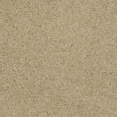 Ковролин Shaw Design Texture Platinum 220 фото 1 | FLOORDEALER