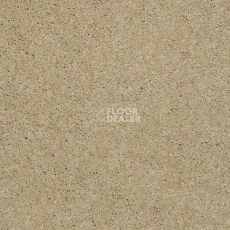 Ковролин Shaw Design Texture Platinum 220 фото 1 | FLOORDEALER
