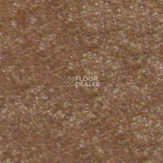 Ковролин Runner Beaulieu of America 18 фото 1 | FLOORDEALER