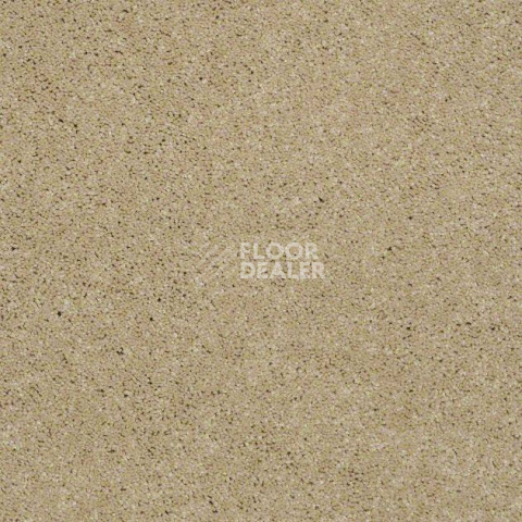 Ковролин Shaw Design Texture Platinum 220 фото 1 | FLOORDEALER
