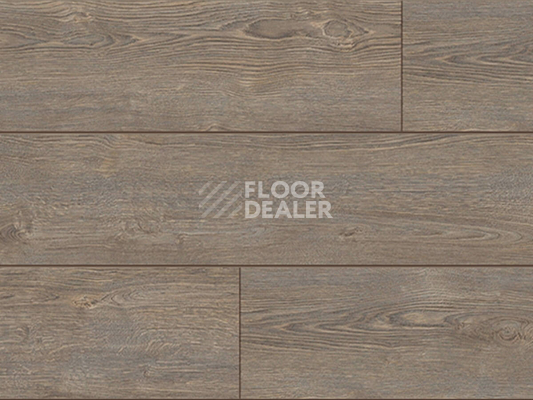 Ламинат Kronotex Exquisit Plus d40532 Дуб Рубин Платиновый фото 1 | FLOORDEALER