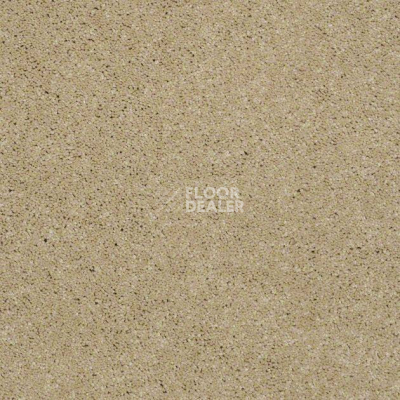Ковролин Shaw Design Texture Platinum 220 фото 1 | FLOORDEALER
