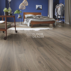 Kronotex Dynamic Plus d4757 Canyon Authentic Walnut фото 2 | FLOORDEALER