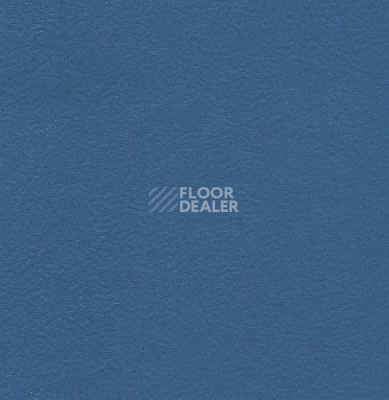 Линолеум Graboflex Start  Plus 4000-659-3 фото 1 | FLOORDEALER