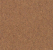 Ковровая плитка Shaw Momentum 02205 фото 1 | FLOORDEALER