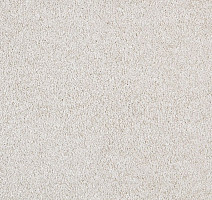 Ковролин ITC Carpe Diem Carpe Diem 038 фото 1 | FLOORDEALER