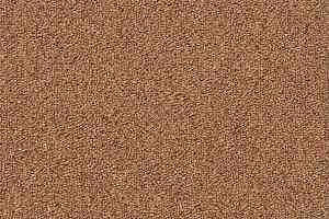 Ковровая плитка Shaw Momentum 02205 фото  | FLOORDEALER