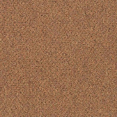 Ковровая плитка Shaw Momentum 02205 фото 1 | FLOORDEALER