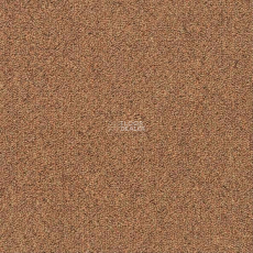 Shaw Momentum 02205 фото 1 | FLOORDEALER