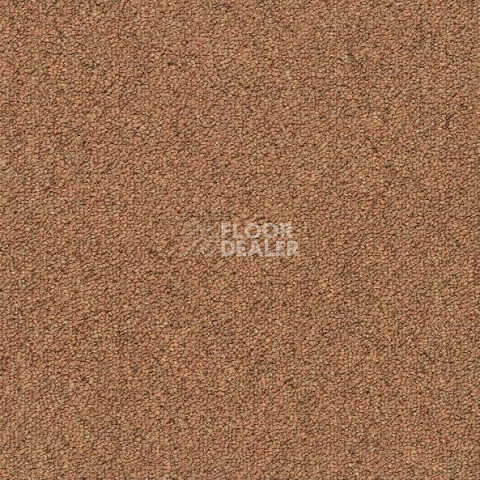 Ковровая плитка Shaw Momentum 02205 фото 1 | FLOORDEALER