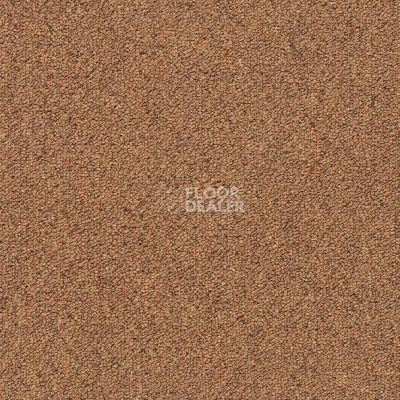 Ковровая плитка Shaw Momentum 02205 фото 1 | FLOORDEALER