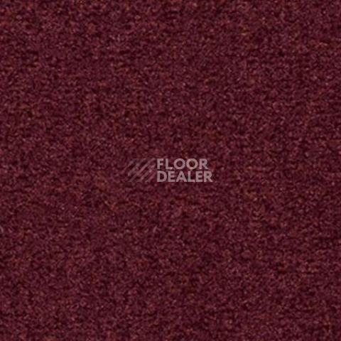 Ковролин Vorwerk Passion 1044 Vorwerk 1m64 фото 1 | FLOORDEALER