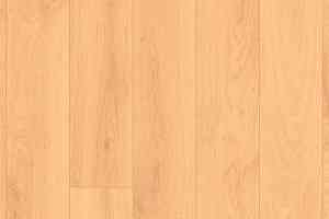 Линолеум Graboplast Stamina 2519_371_273 фото  | FLOORDEALER