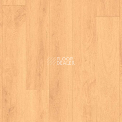 Линолеум Graboplast Stamina 2519_371_273 фото 1 | FLOORDEALER