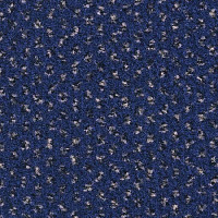 Ковролин Balsan Signature 193 фото 1 | FLOORDEALER