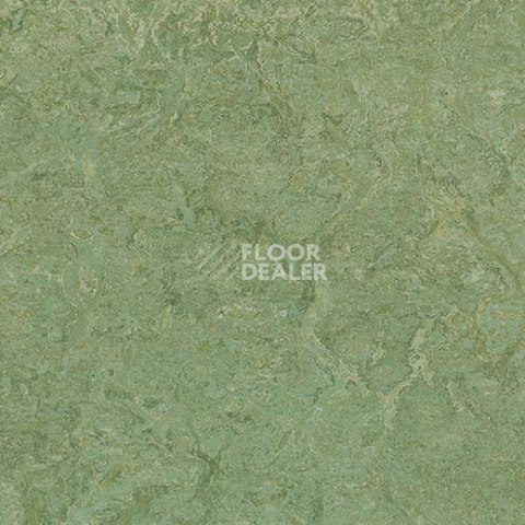 Линолеум Forbo Marmoleum Sport 83212 фото 1 | FLOORDEALER