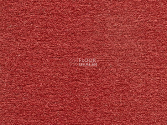 Ковролин Audrey 013 Audrey фото 1 | FLOORDEALER