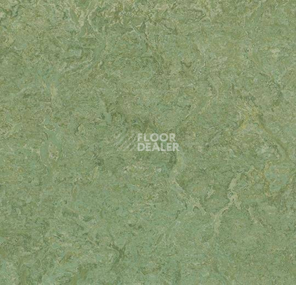 Линолеум Forbo Marmoleum Sport 83212 фото 1 | FLOORDEALER