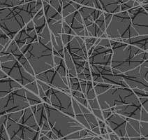 Ковролин Ege Highline Nature rf 52202927 фото 1 | FLOORDEALER