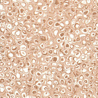 Линолеум Grabo Polis Camel фото 1 | FLOORDEALER