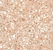 Линолеум Grabo Polis Camel фото 1 | FLOORDEALER