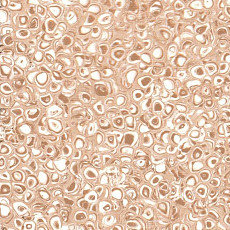 Линолеум Grabo Polis Camel фото 1 | FLOORDEALER