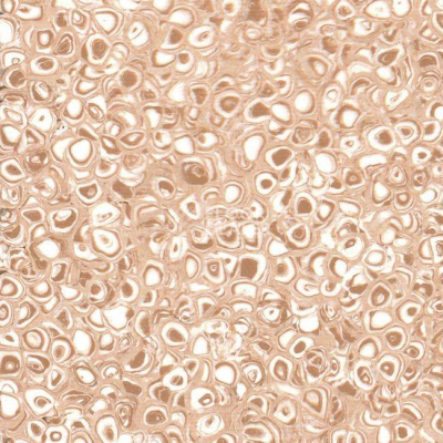 Линолеум Grabo Polis Camel фото 1 | FLOORDEALER