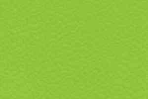 Линолеум Taraflex Performance Uni 6559_Spring фото  | FLOORDEALER