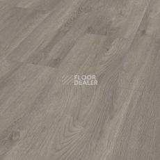 Ламинат Kronotex Exquisit Plus d6013 Дуб Эльба Серебряный фото 1 | FLOORDEALER