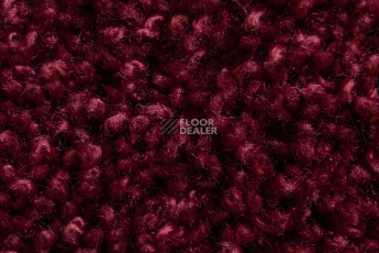 AW Masquerade Lamia 19 фото 2 | FLOORDEALER