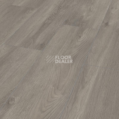 Ламинат Kronotex Exquisit Plus d6013 Дуб Эльба Серебряный фото 1 | FLOORDEALER