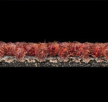 Desso Essence 4218 фото 3 | FLOORDEALER