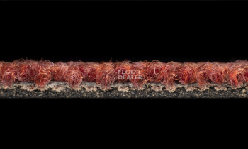 Desso Essence 4218 фото 3 | FLOORDEALER