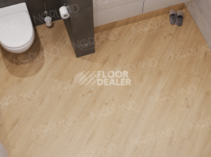 Norland Sigrid Superior 8мм Eli 1008-6 ABA фото 4 | FLOORDEALER