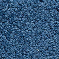 Ковролин Girloon Body1 331 фото 1 | FLOORDEALER