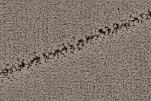 Ковролин Balsan Palace 730 фото  | FLOORDEALER