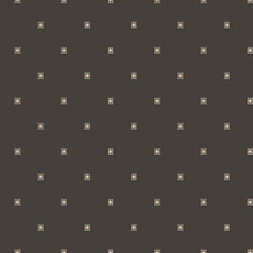 Agnella Natural Pulse Graphite фото 1 | FLOORDEALER