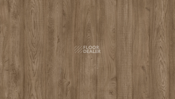 Линолеум Tarkett Philosophy COEN 2 фото 1 | FLOORDEALER