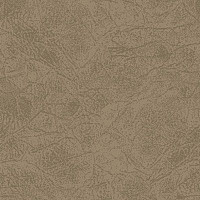 Ковролин Big Carus Sunrise 004-24335 фото 1 | FLOORDEALER