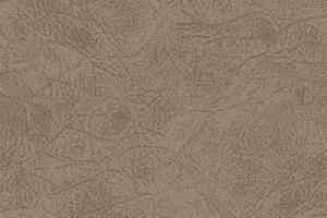 Ковролин Big Carus Sunrise 004-24335 фото  | FLOORDEALER