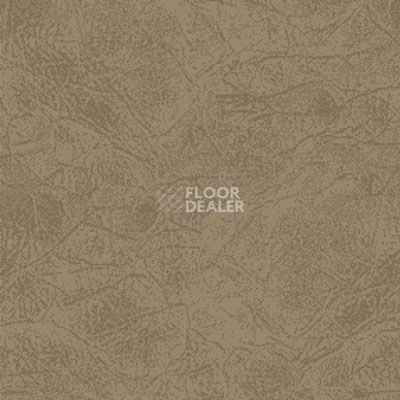 Ковролин Big Carus Sunrise 004-24335 фото 1 | FLOORDEALER