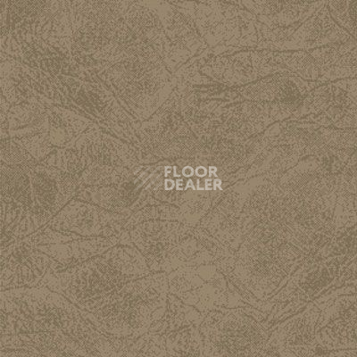 Ковролин Big Carus Sunrise 004-24335 фото 1 | FLOORDEALER