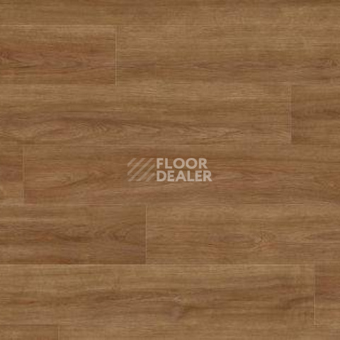 Ламинат Haro Tritty 100 Gran Via 4V ДУБ ЭЛЕГАНЗА НАТУР 541516 фото 1 | FLOORDEALER