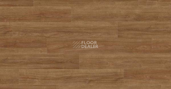 Ламинат Haro Tritty 100 Gran Via 4V ДУБ ЭЛЕГАНЗА НАТУР 541516 фото 1 | FLOORDEALER