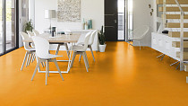 Taralay Initial Compact (Plain & allover look) 0952 Miami Soleil фото 2 | FLOORDEALER