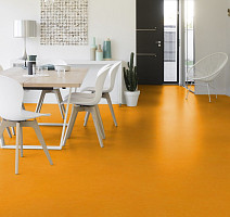 Taralay Initial Compact (Plain & allover look) 0952 Miami Soleil фото 2 | FLOORDEALER