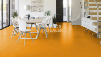 Gerflor Taralay Initial Compact (Plain & allover look) 0952 Miami Soleil фото 2 | FLOORDEALER
