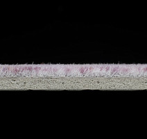 Flotex Colour s 290017 Calgary Crystal фото 3 | FLOORDEALER