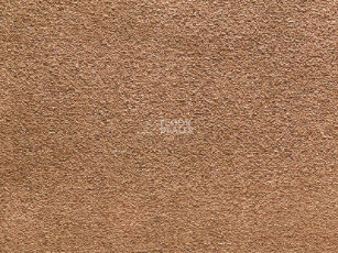 Balta Wild Luxury Paddington Balta Wild Luxury Paddington 43 фото 1 | FLOORDEALER